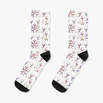 Молекула антитела, IgA, IgG, IgM, IgE, IgD Носки Набор носков забавный подарок для мальчика Детские Носки Женские